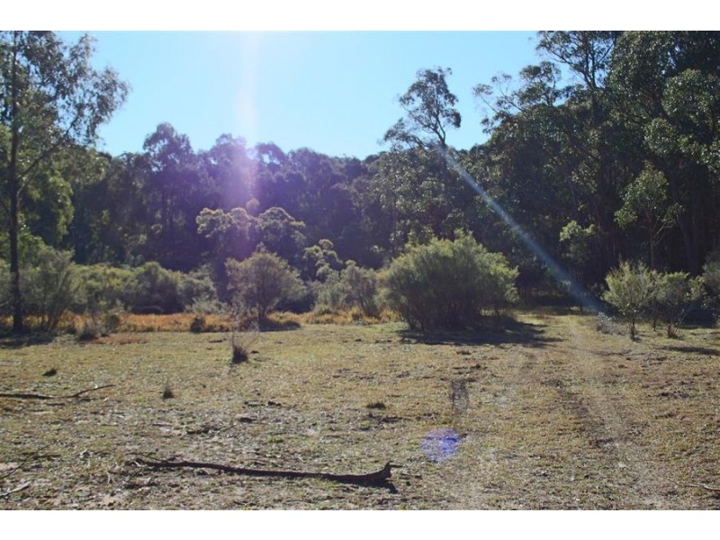 1331 Mount Mackenzie Road, Tenterfield NSW 2372