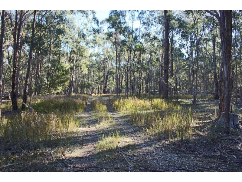 1331 Mount Mackenzie Road, Tenterfield NSW 2372