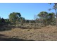 1331 Mount Mackenzie Road, Tenterfield NSW 2372