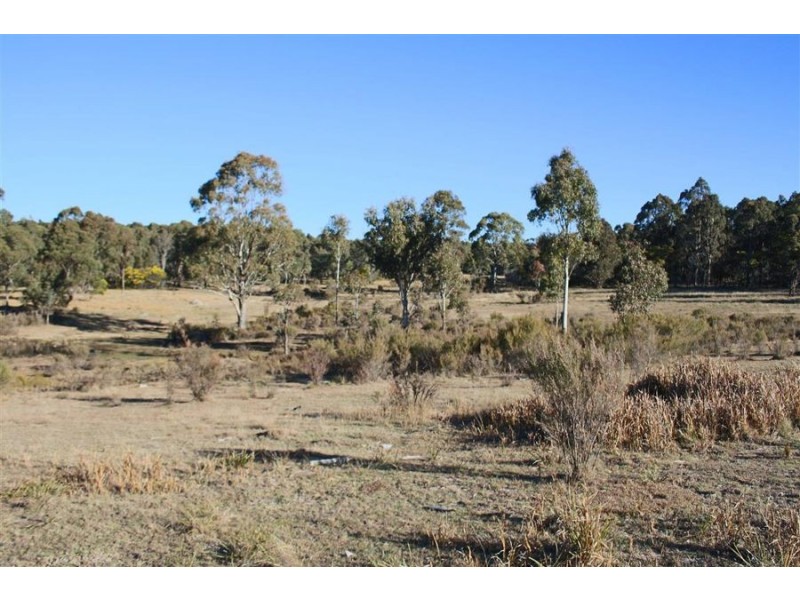 1331 Mount Mackenzie Road, Tenterfield NSW 2372