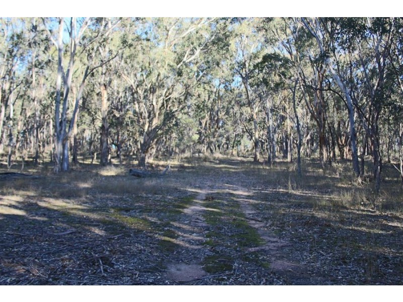 1331 Mount Mackenzie Road, Tenterfield NSW 2372