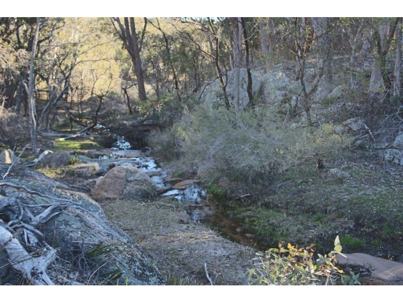 1331 Mount Mackenzie Road, Tenterfield NSW 2372