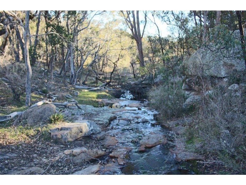 1331 Mount Mackenzie Road, Tenterfield NSW 2372