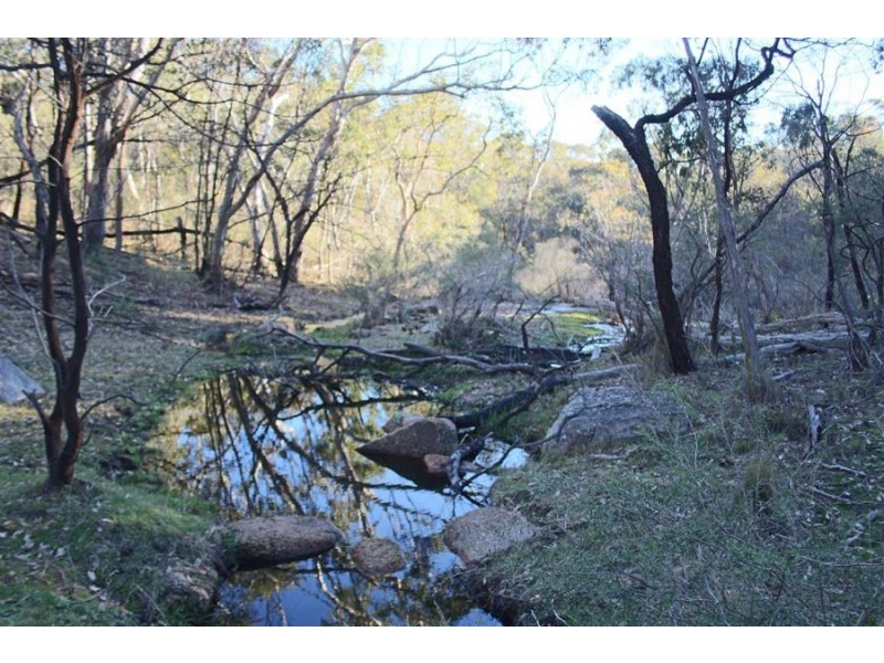 1331 Mount Mackenzie Road, Tenterfield NSW 2372