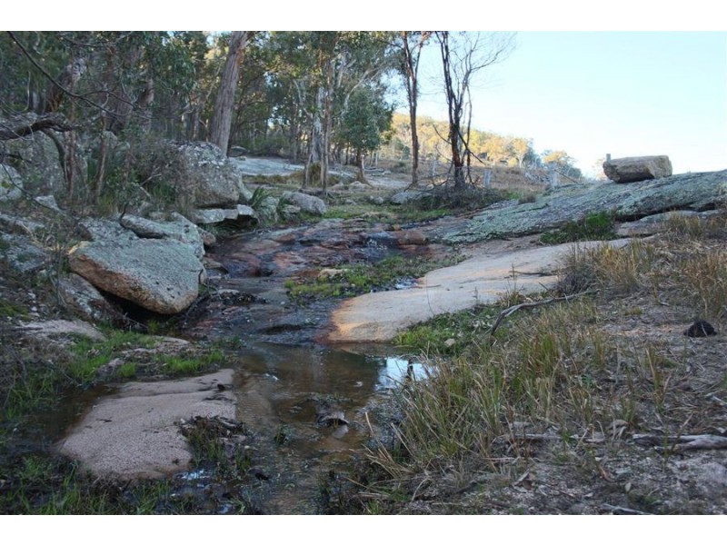 1331 Mount Mackenzie Road, Tenterfield NSW 2372