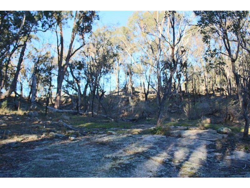 1331 Mount Mackenzie Road, Tenterfield NSW 2372
