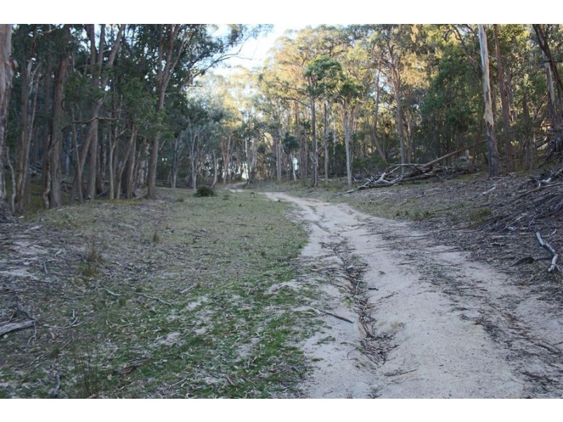 1331 Mount Mackenzie Road, Tenterfield NSW 2372