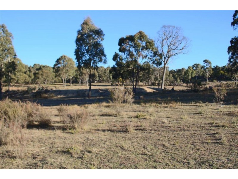 1331 Mount Mackenzie Road, Tenterfield NSW 2372