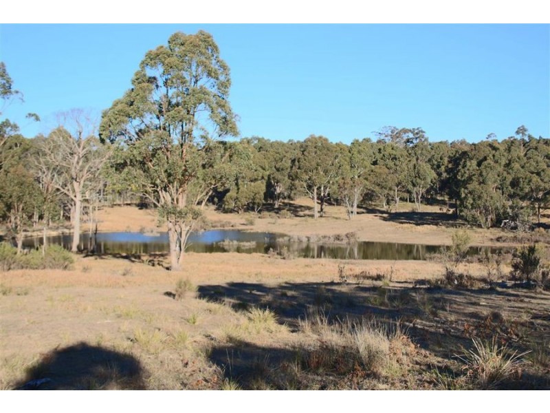 1331 Mount Mackenzie Road, Tenterfield NSW 2372