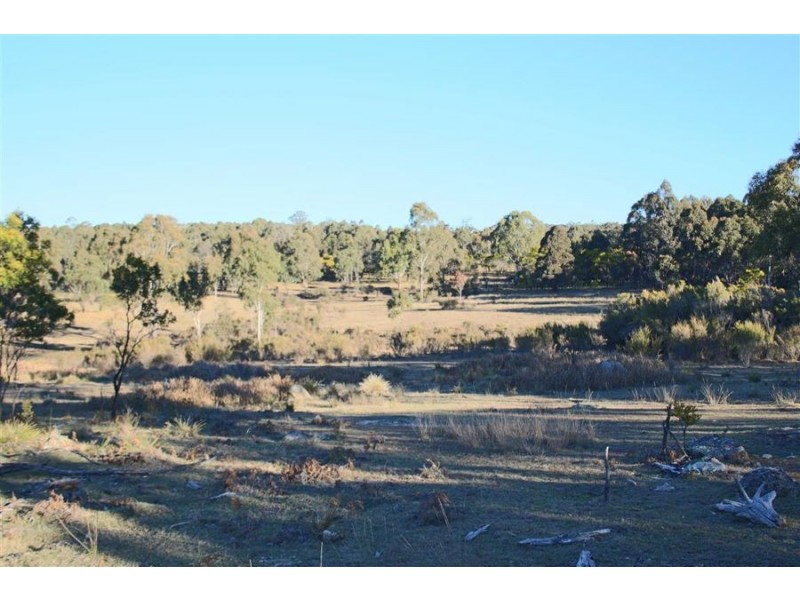 1331 Mount Mackenzie Road, Tenterfield NSW 2372