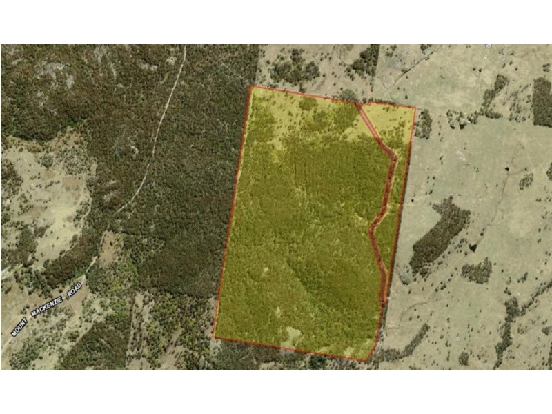 1331 Mount Mackenzie Road, Tenterfield NSW 2372