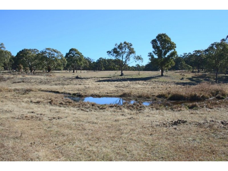 1331a Mount Mackenzie Road, Tenterfield NSW 2372