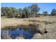 1331a Mount Mackenzie Road, Tenterfield NSW 2372