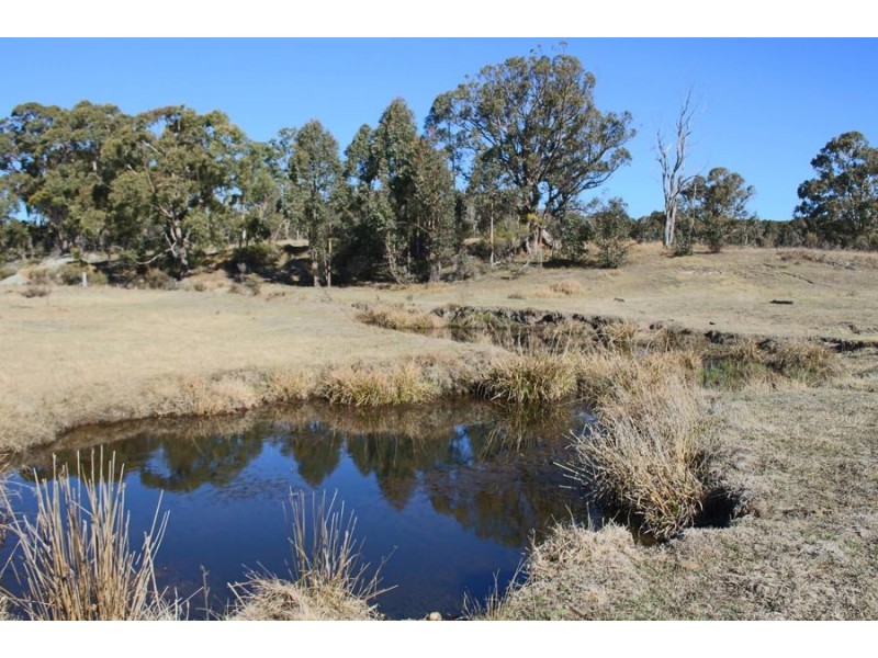 1331a Mount Mackenzie Road, Tenterfield NSW 2372