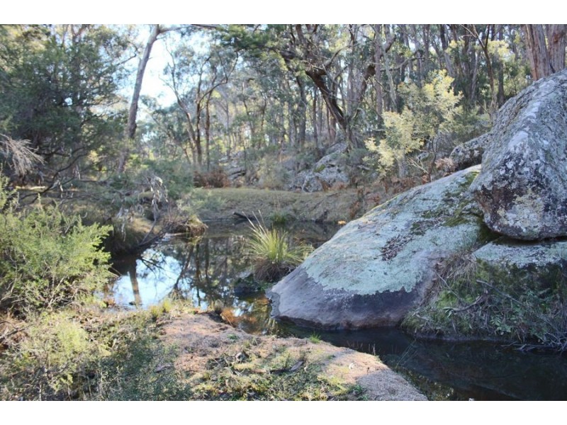 1331a Mount Mackenzie Road, Tenterfield NSW 2372