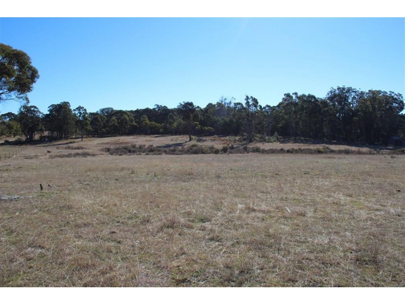 1331a Mount Mackenzie Road, Tenterfield NSW 2372