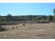 1331a Mount Mackenzie Road, Tenterfield NSW 2372