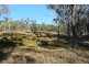 1331a Mount Mackenzie Road, Tenterfield NSW 2372