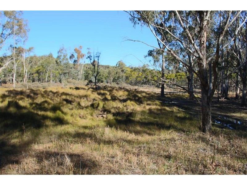 1331a Mount Mackenzie Road, Tenterfield NSW 2372