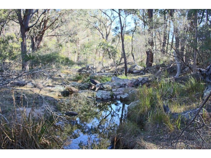 1331a Mount Mackenzie Road, Tenterfield NSW 2372