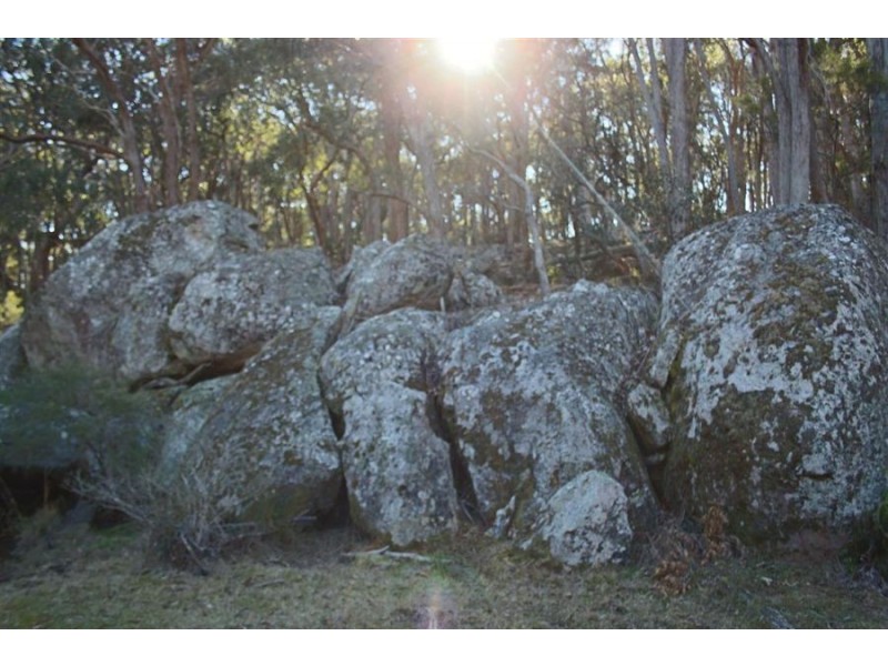 1331a Mount Mackenzie Road, Tenterfield NSW 2372