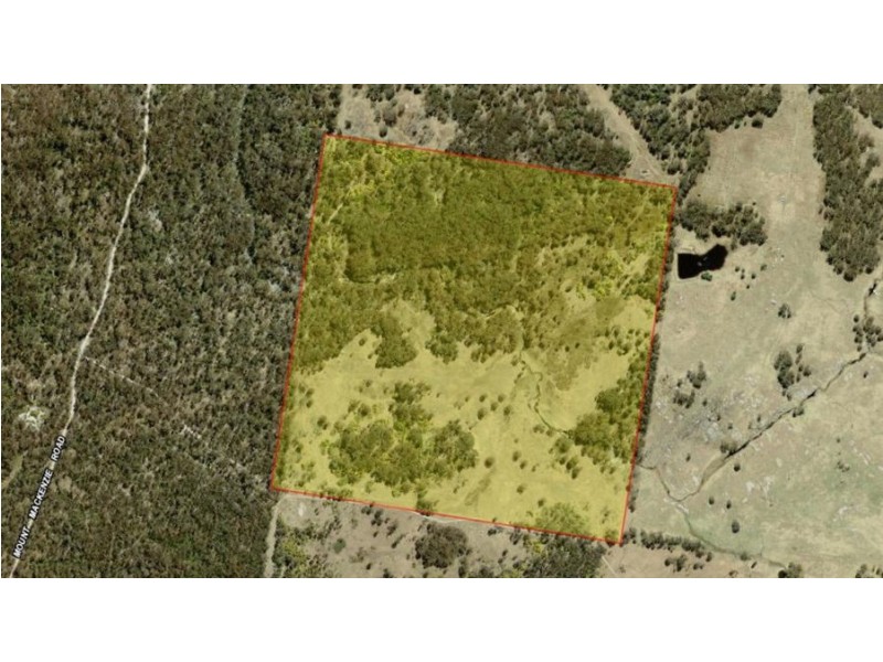 1331a Mount Mackenzie Road, Tenterfield NSW 2372