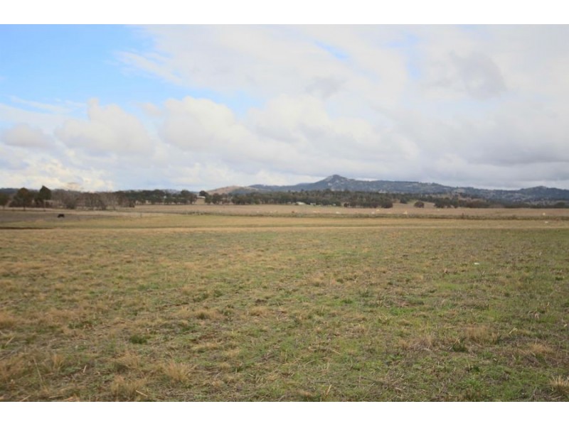 1092 Bruxner Way, Tenterfield NSW 2372