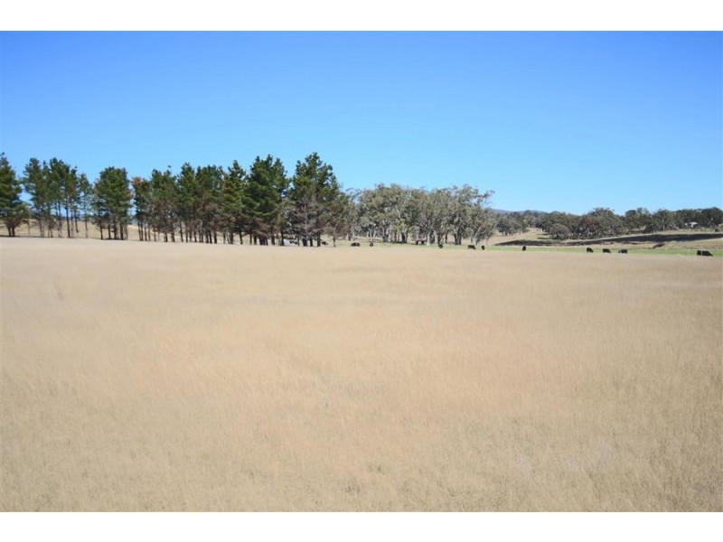 945 Bruxner Way, Tenterfield NSW 2372