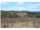 2282 Rivertree Road, Rivertree NSW 2372