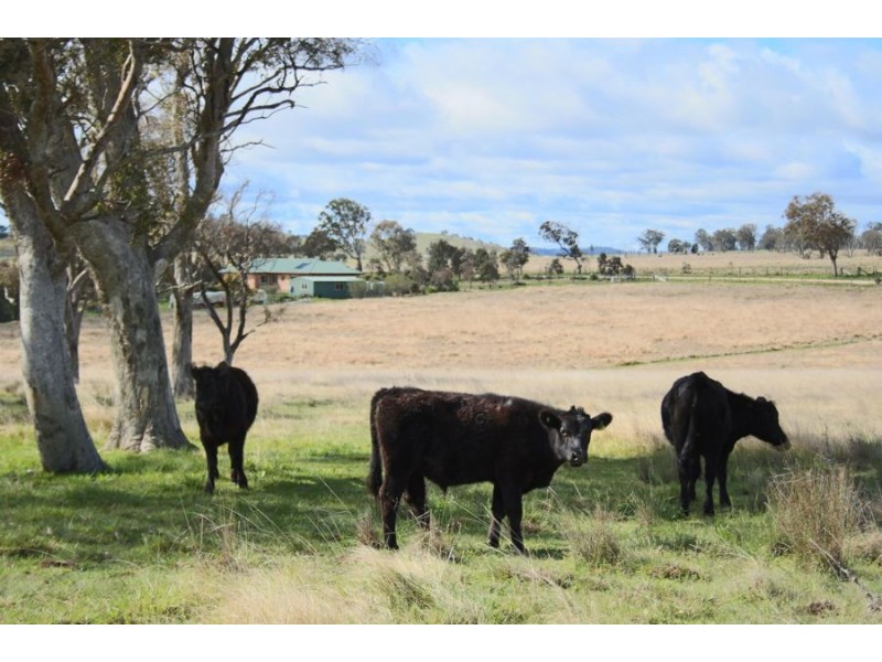 630 Bryans Gap Road, Tenterfield NSW 2372