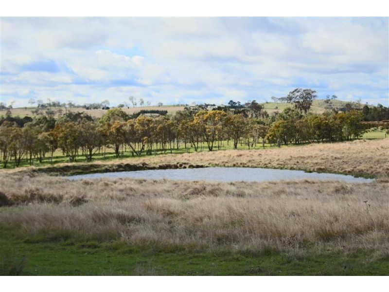 630 Bryans Gap Road, Tenterfield NSW 2372