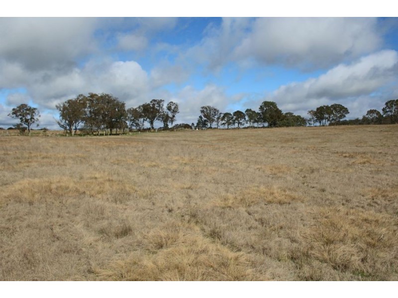 630 Bryans Gap Road, Tenterfield NSW 2372