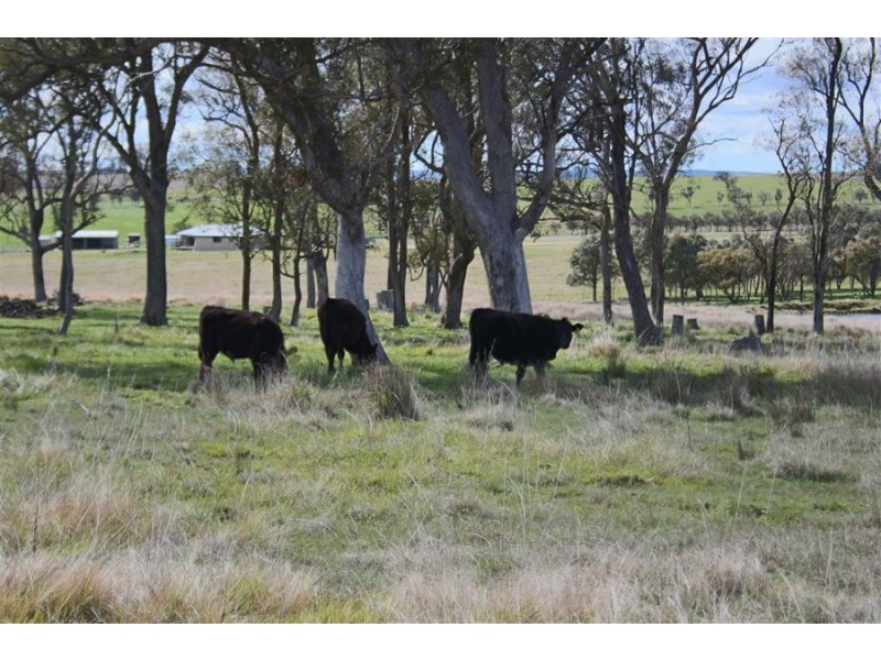 630 Bryans Gap Road, Tenterfield NSW 2372