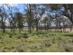 630 Bryans Gap Road, Tenterfield NSW 2372