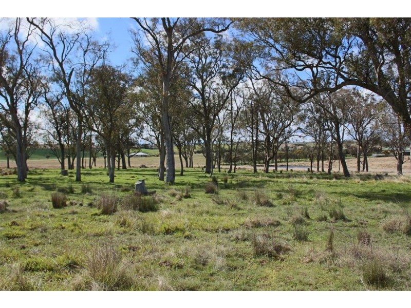 630 Bryans Gap Road, Tenterfield NSW 2372