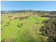 603 Snakes Valley Road, Tenterfield NSW 2372