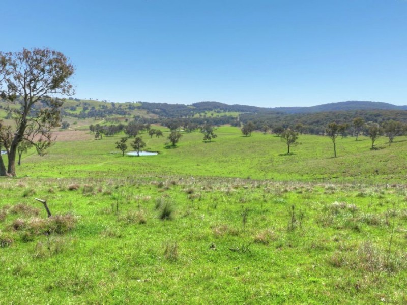603 Snakes Valley Road, Tenterfield NSW 2372