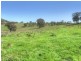 603 Snakes Valley Road, Tenterfield NSW 2372