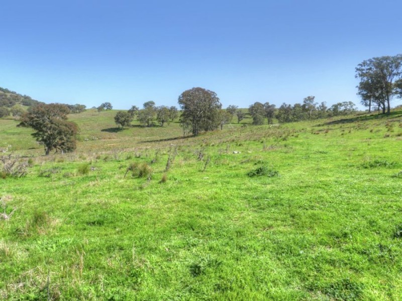 603 Snakes Valley Road, Tenterfield NSW 2372