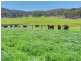603 Snakes Valley Road, Tenterfield NSW 2372