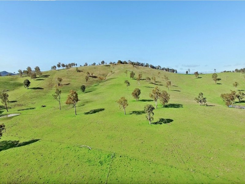 603 Snakes Valley Road, Tenterfield NSW 2372