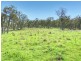 603 Snakes Valley Road, Tenterfield NSW 2372