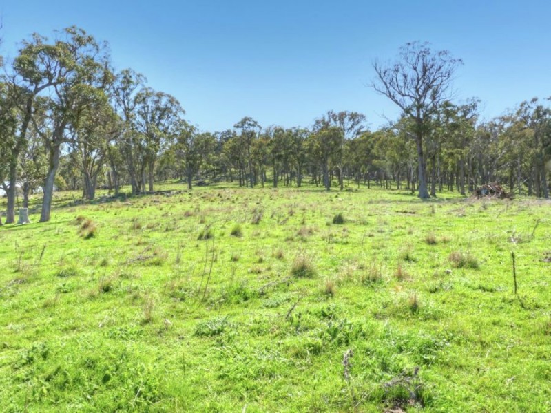 603 Snakes Valley Road, Tenterfield NSW 2372