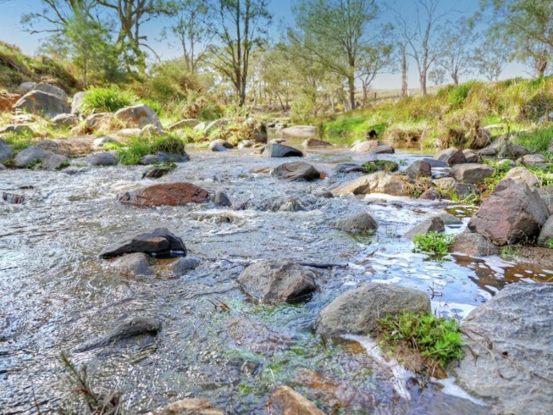 603 Snakes Valley Road, Tenterfield NSW 2372