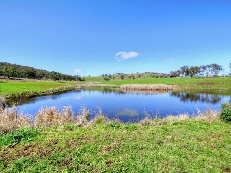 603 Snakes Valley Road, Tenterfield NSW 2372