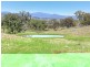 603 Snakes Valley Road, Tenterfield NSW 2372
