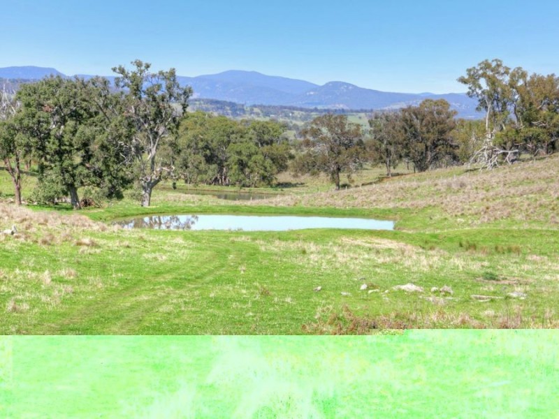 603 Snakes Valley Road, Tenterfield NSW 2372