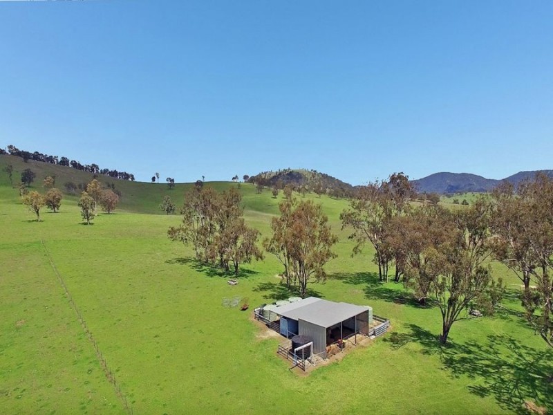 603 Snakes Valley Road, Tenterfield NSW 2372