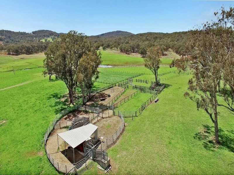 603 Snakes Valley Road, Tenterfield NSW 2372