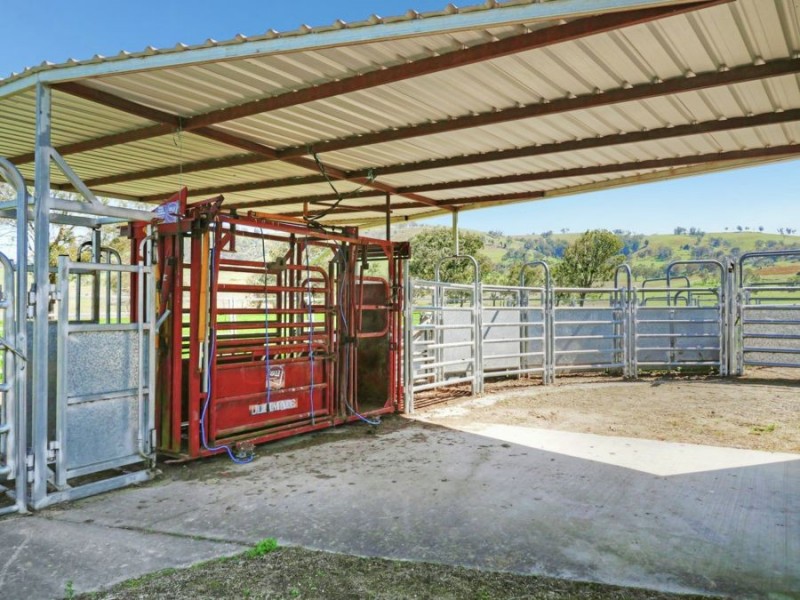603 Snakes Valley Road, Tenterfield NSW 2372